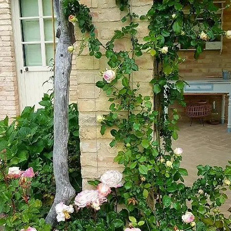 Casale I Tre Cipressi Bed & Breakfast