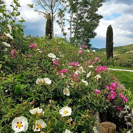Frühstückspension Casale I Tre Cipressi