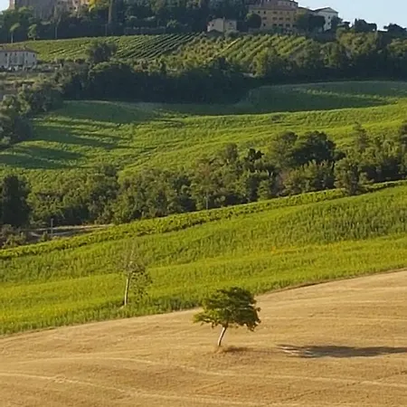 Casale I Tre Cipressi Bed & Breakfast Cossignano